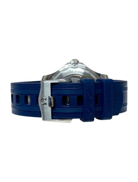 Omega Seamaster Diver 300m 210.32.42.20.03.001